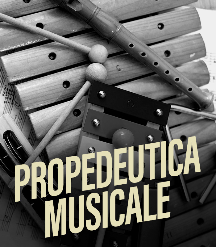 corso-di-propedeutica-musicale-metropolis-academy